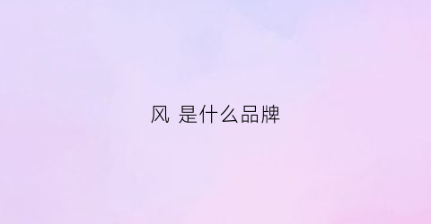 风是什么品牌(airpool新风是什么品牌)